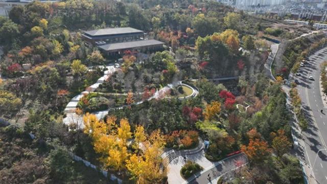 市民身边的多彩乐园，岛城口袋公园进入最美季节