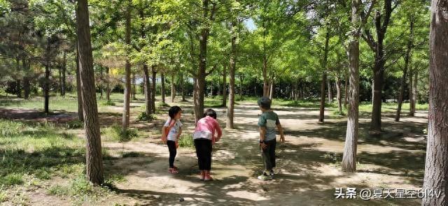 家乡那片林的美丽时光