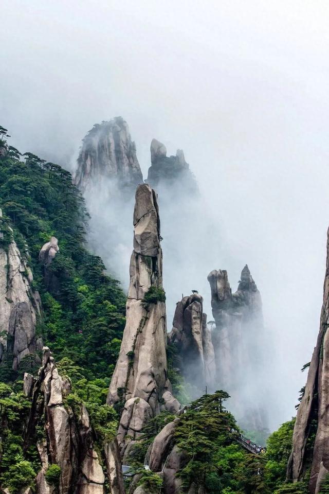 山在云中“飘”，人在画中“游”！这趟“追云之旅”别错过