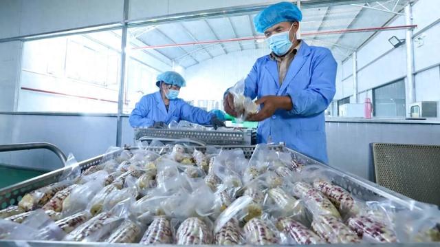 既要“跑得远	”	，又要“吃着鲜”，农产品咋做到的？