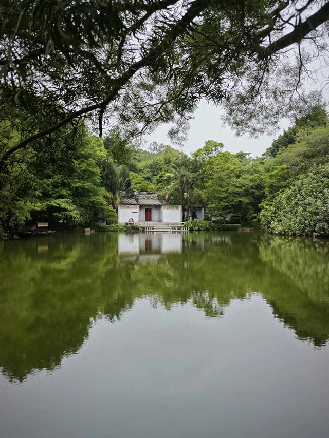 深圳最容易被忽略的高颜值公园,丛林秘境随处都是风景大片