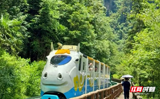 立秋遇雨降温 张家界十里画廊游人如织