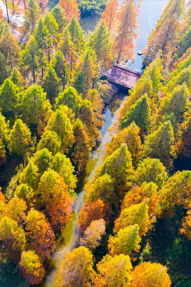 美翻了！大批盐城人出动！