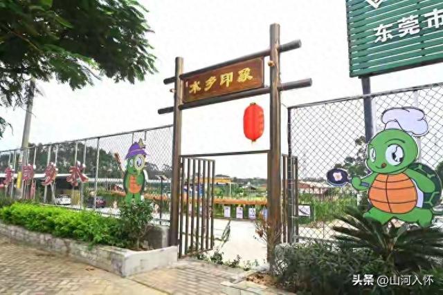 东莞水乡印象文化园：龟文化与田园诗意的完美邂逅