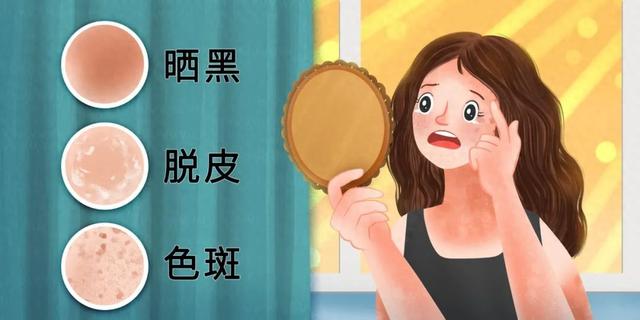 节问枫