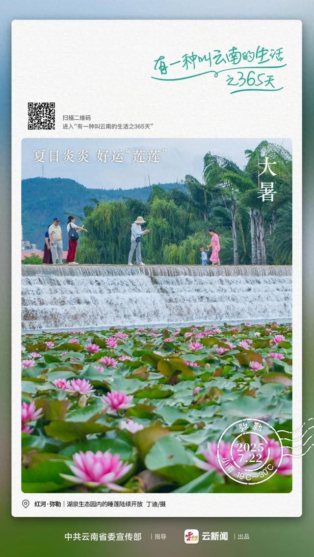 一池睡莲次第开 千娇百媚入画来——有一种叫云南的生活之365天