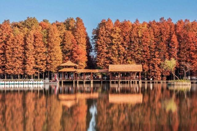 巨出片！马鞍山这里进入最佳观赏期