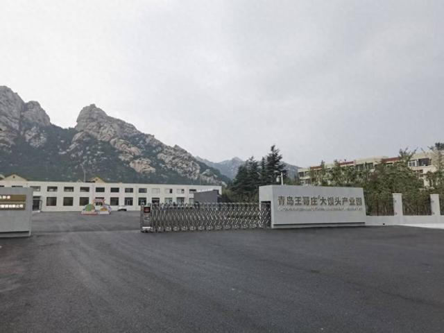 带着王哥庄大馒头逛吃逛吃，崂山湾这一片值得来