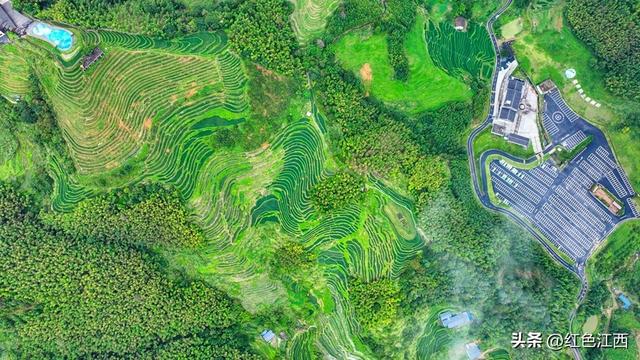 立秋俯瞰上堡梯田：大地指纹藏诗意 农旅融合焕生机