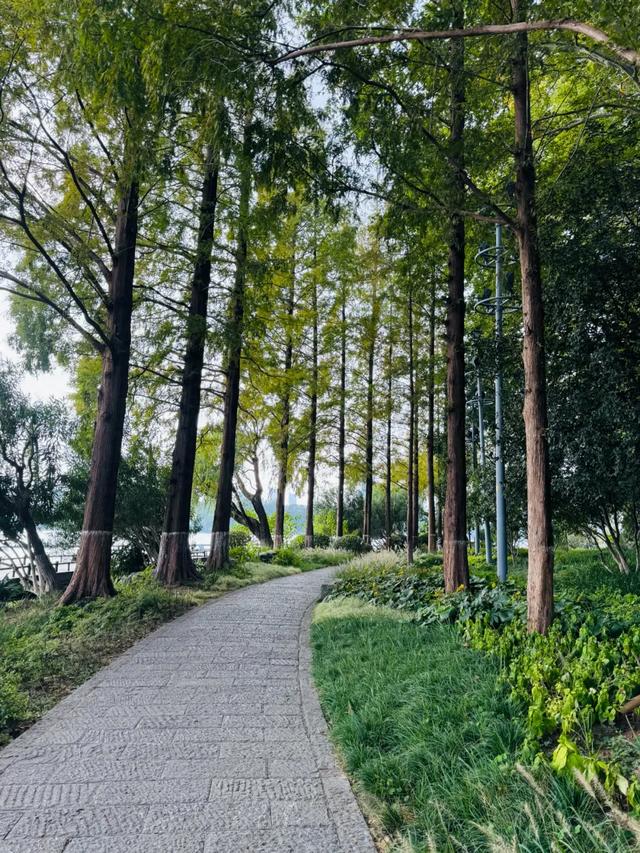 中国“学历”最高的省会,史诗级出圈