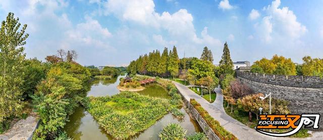 荆州秋色满城 梧桐银杏正当时