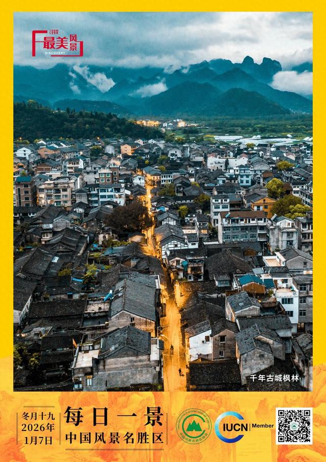 每日一景 | 千年古城枫林