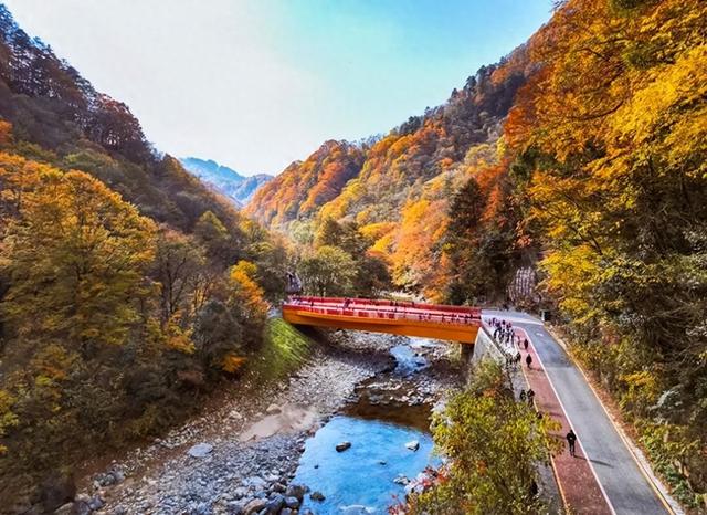 秦岭深处藏着一条“神仙路”，10月底正是它最美的时候