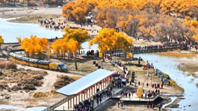 人气火爆！额济纳节后旅游市场热度不减