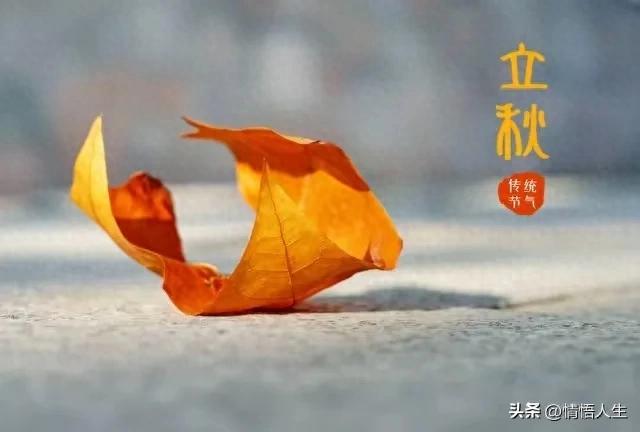 “早立秋冷飕飕，晚立秋热死牛”，今年立秋逢闰六月，是冷还是热