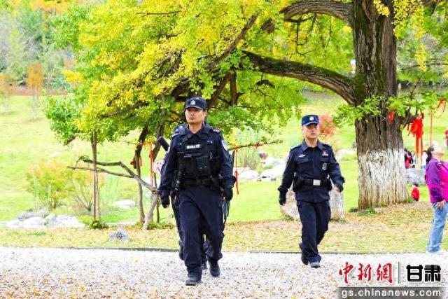 警色陇南｜警察蓝邂逅生态绿：徽县“银杏警务”守护最美金秋
