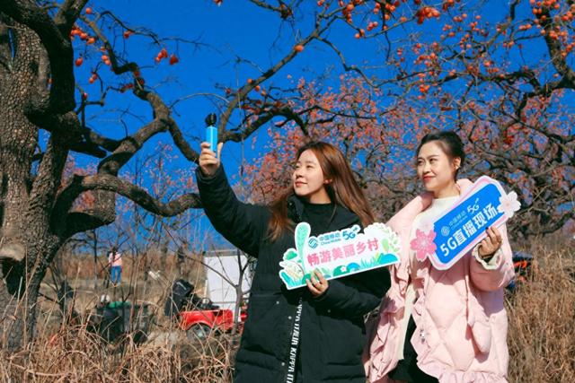 彬州红柿“火爆”出圈游客激增 陕西移动5G守护冬日暖意