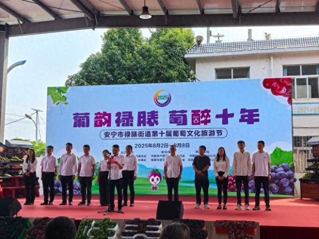 又到成熟时 安宁市禄脿第十届葡萄文化旅游节开幕