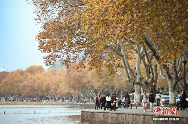 江南冬日 杭州西湖林木斑斓景色迷人