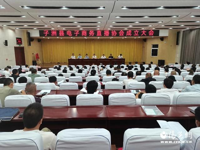 子洲县召开电子商务直播协会成立大会