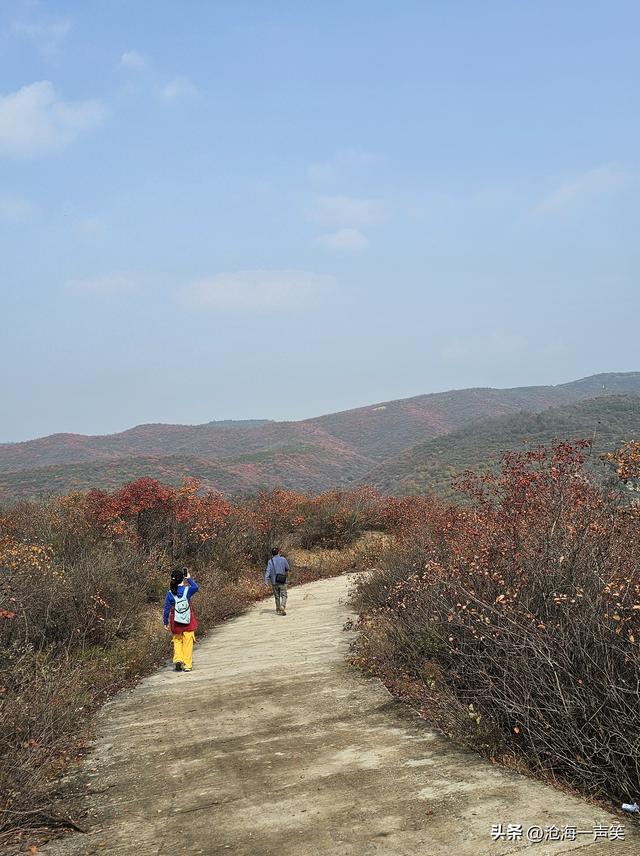 踏遍青山，风景独好，看万山红遍，层林尽染，请尽情欣赏吧