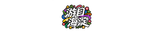 薄雾飘散！海淀这个公园，开启“仙境”模式