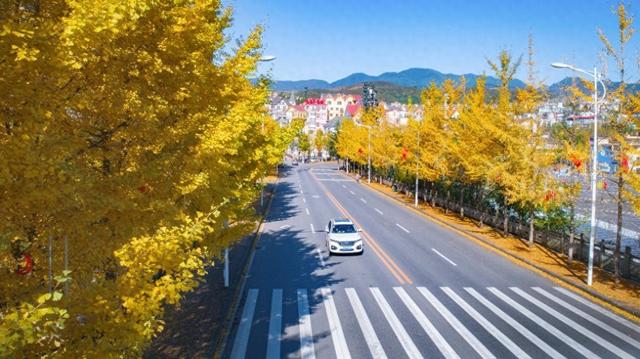 【雄奇山水 冬韵武隆】彩叶织锦·山野层林映画