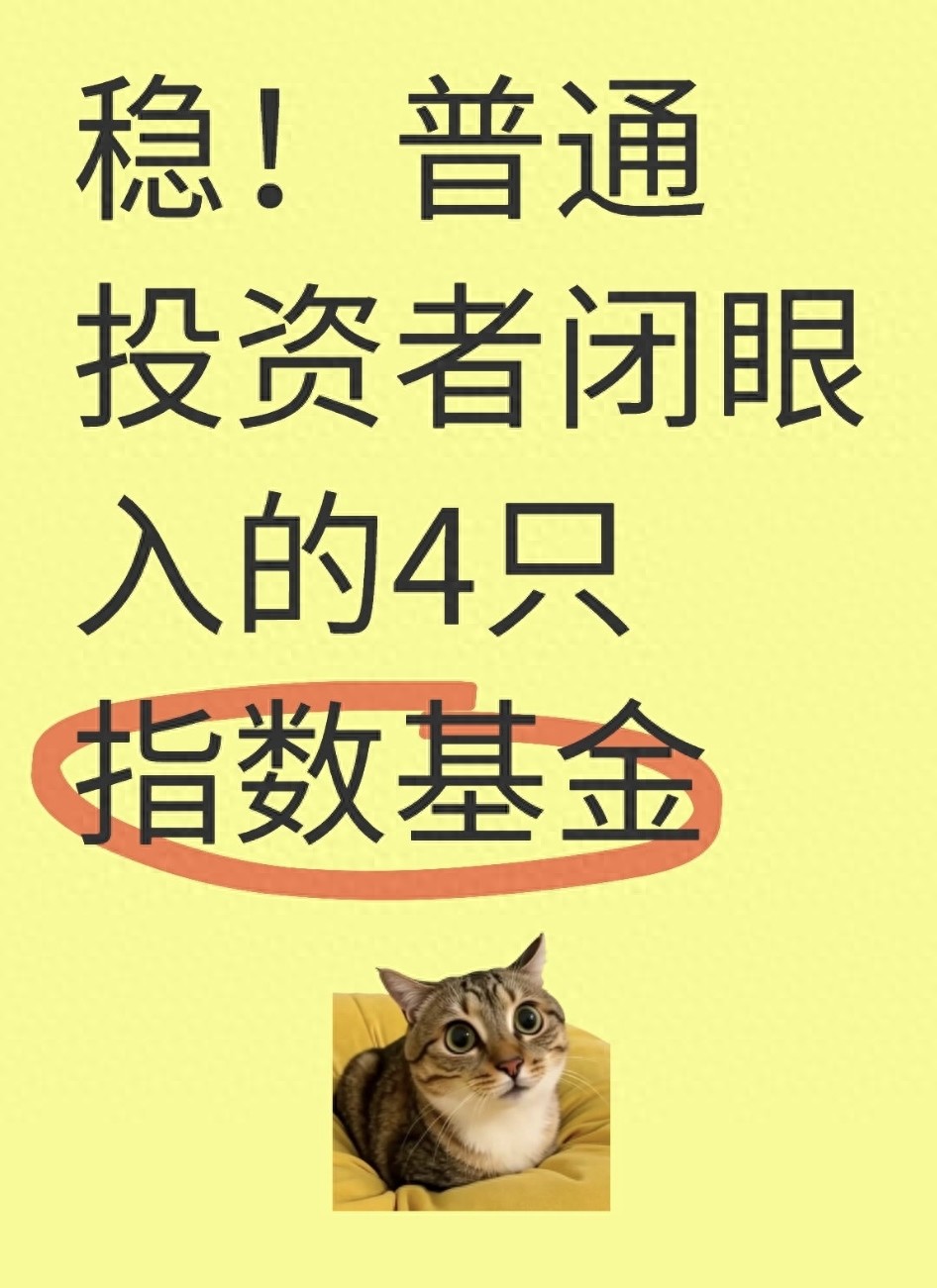 稳!普通投资者闭眼入的4只指数基金