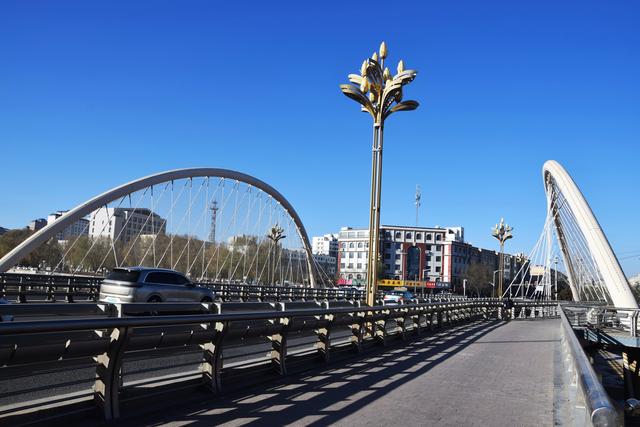 组图 | 凉州冬韵：霜凝湖光 苇摇清柔