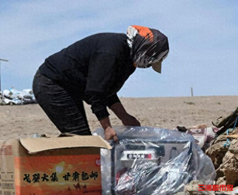 拼多多发布Q2财报，“千亿扶持”生态效用显现，供需两侧实现高质量发展