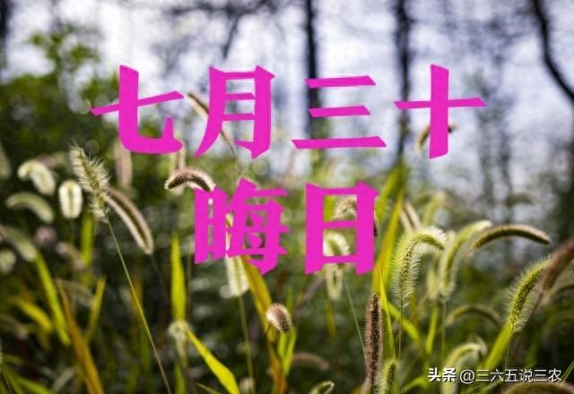“七月怕晦日”，明日是七月晦日，有啥好怕的？看老人咋说的