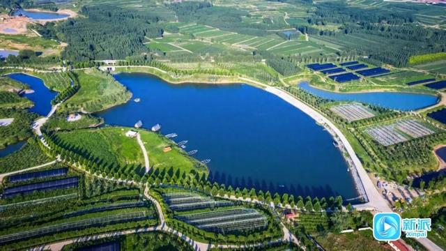 潍坊诸城市甘泉岭生态园：茶旅心灵栖息地，研学培训打卡地