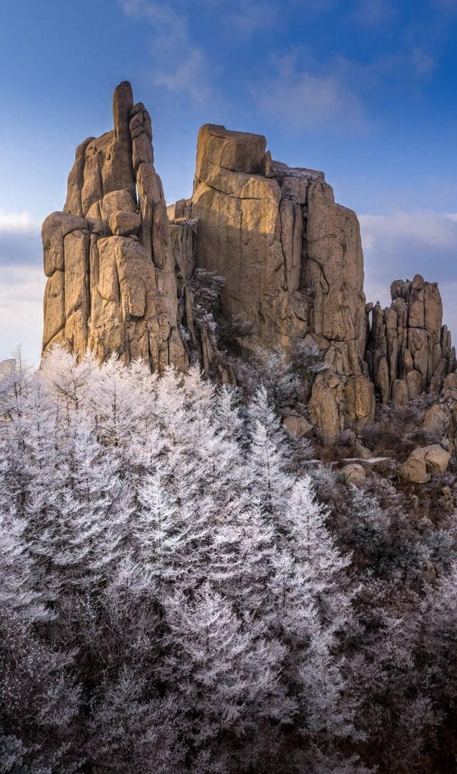 限时仙境！半价优惠！崂山巨峰雾凇季来了！打卡攻略速看