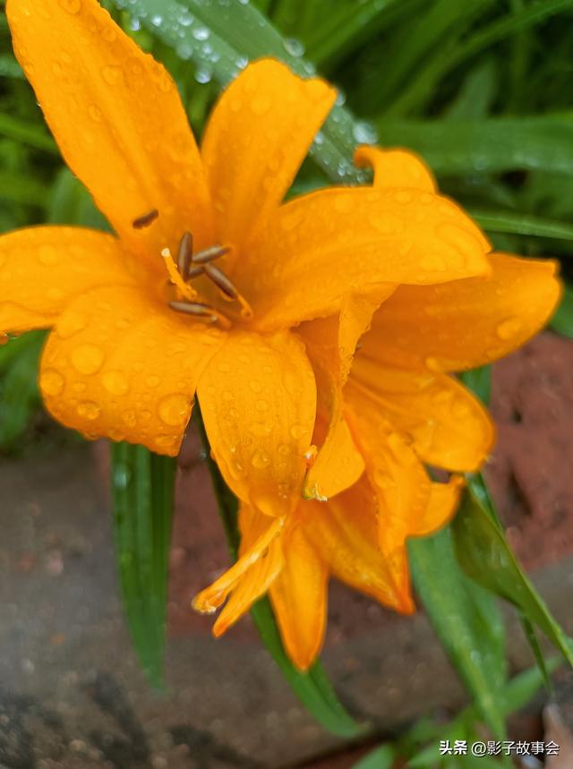 二十万	，是母亲用半生琐碎攒成的给我的底气