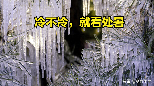 “冷不冷，就看处暑”，今日处暑，2025年冬天很冷吗？看农谚咋说