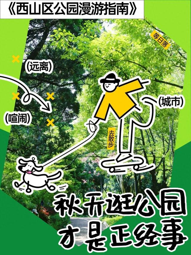 太仙啦！昆明秋日必逛的宝藏公园，第一个就“美到心巴”