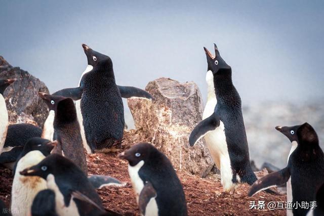 qq声音怎么设置