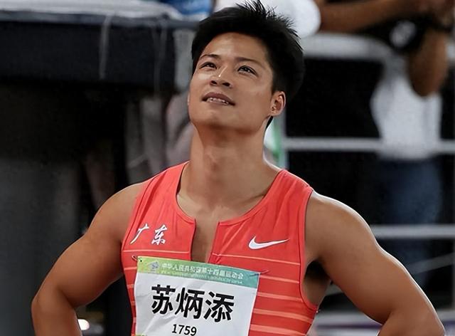 全红婵没想到，全运会还没开始，院长苏炳添凭一句话实现口碑暴增