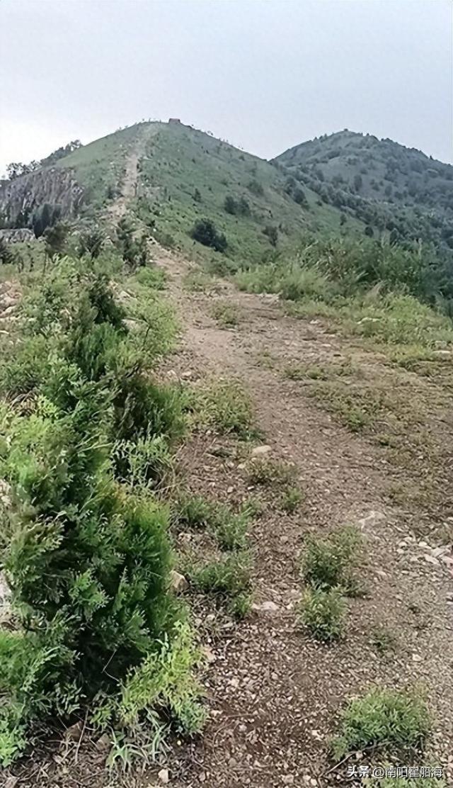 南阳九架孤山(九）——遮山