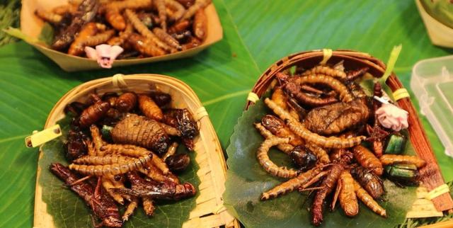 西双版纳夜市尝虫子，当地人口中的美味，白象沙滩等你来