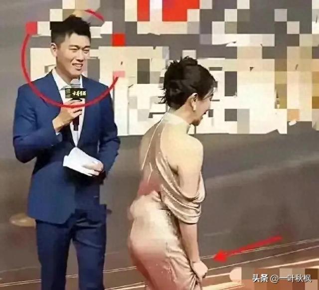 48岁左小青走红毯，不知道她尴不尴尬	，反正我看着挺尴尬的	。