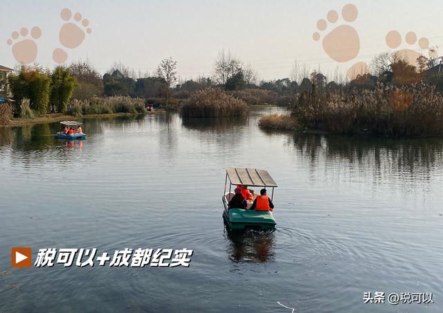 到温江幸福田园郊游，看乡村湿地美景，火车主题餐厅让人怀旧