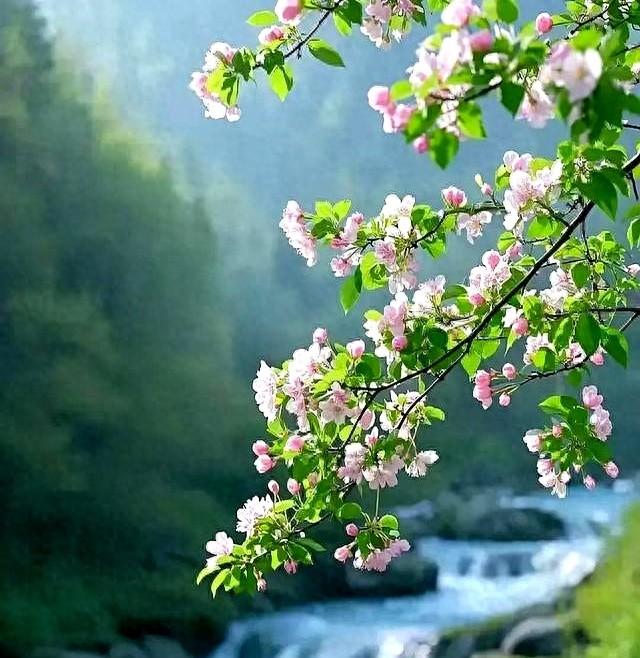 “钱不借二	，礼不随三，情不给四	”：七十岁后，你就明白了