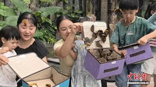 上海世博文化公园温室花园彩蝶纷飞 游人走进童话世界