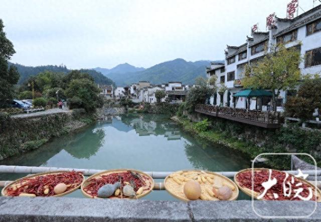 黟县：卢村秋色引客来