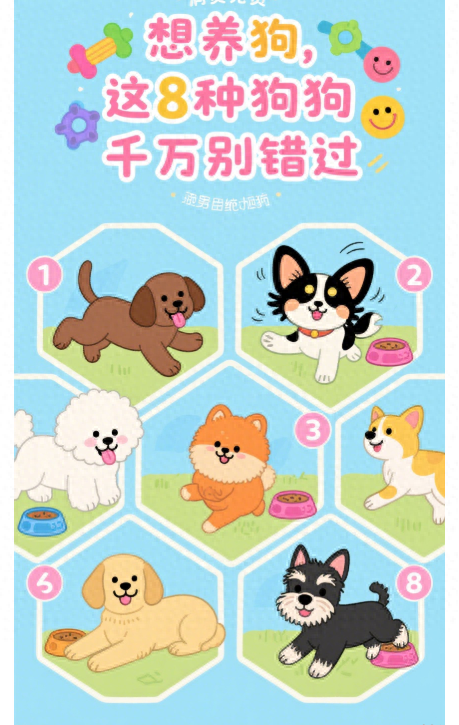十大便宜好养的宠物有哪些（想养狗）