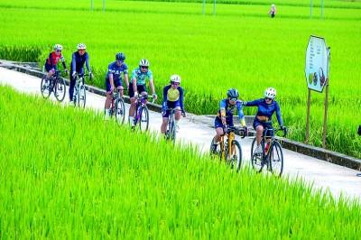 小米5miui优化（打造乡土之美升级版关于农文旅融合赋能乡村全面振兴的调研与思考）