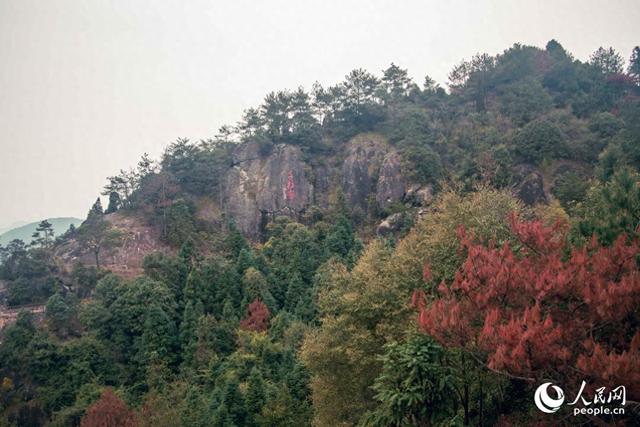 福建永泰：门槛降了，村民都是“局内人”
