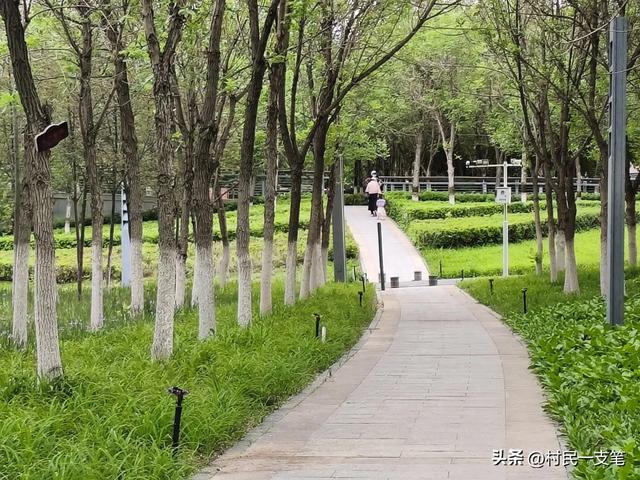 公园绿树成荫，路边花草芬芳，行人休闲漫步，享受快乐时光