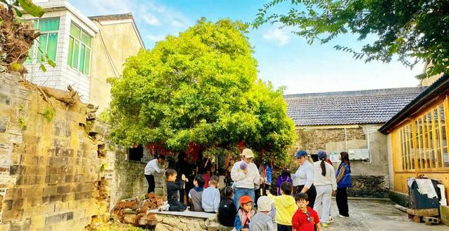 南京溧水晶桥镇：500年古桂香飘千年古村石山下